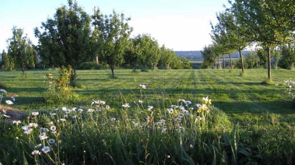 Le Mont D'Auge Bed and Breakfast Canapville  Exterior foto