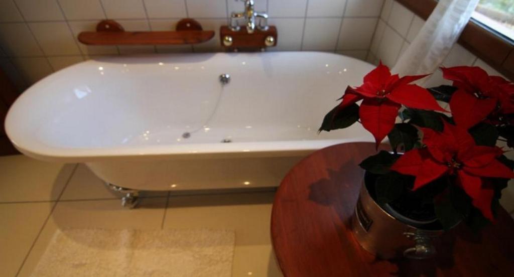 Le Mont D'Auge Bed and Breakfast Canapville  Habitación foto